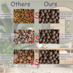 Rurtsva Natural Clay Pebbles 5LBS– 8mm-15mm Expanded Leca Balls for Hydroponics Plants Drainage Grow Media Reusable Soil Amendment for Orchids, Succulents, Aquaponics