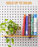 INCLY 60 Pack 2/4/6 Inch Black Pegboard Hooks, 1/4" Heavy Duty