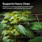 VIVOSUN 5 x 30 ft. Plant Trellis Netting, Heavy-Duty Polyester Grow Net, Garden Trellis Netting with Square Mesh for Climbing Plants, Vegetables, Fruits, and Flowers, 2-Pack