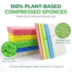 AIRNEX Compressed Cellulose Sponges - 32 Pack Natural Pop Up Dish Sponge for Kitchen - Compostable Plant-Based Cleaning Sponges Bulk – Non Scratch Natural Sponge for Dishes & Household Cleaning