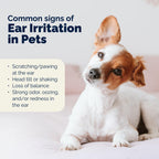 Vetnique Oticbliss Cat & Dog Ear Infection Treatment | Dog Ear Allergy Relief Drops, MicroSilver Yeast Infection Treatment for Dogs, Hydrocortisone for Itching, Redness Swelling (Ear Infection Drops)