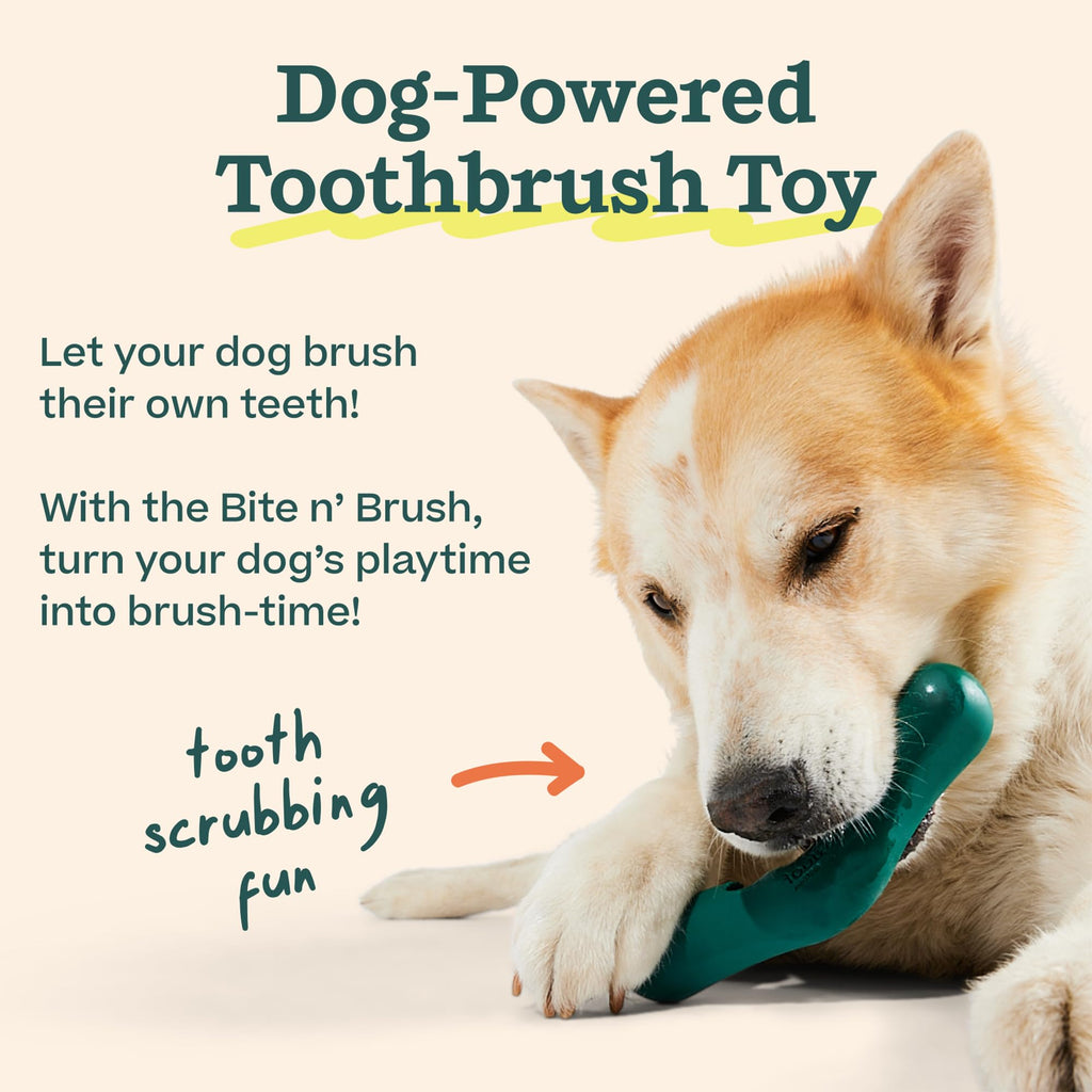 WOOF Bite n' Brush Dog Dental Chews Sticks for Dog Toy, Chicken, 2 Pack