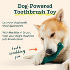 WOOF Bite n' Brush Dog Dental Chews Sticks for Dog Toy, Chicken, 2 Pack