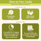 ORGANIC INDIA Amla Capsules Organic - Indian Gooseberry Herbal Vitamin Supplement, Amla Supplement, Immune Support, Vegan, Gluten-Free, Ayurvedic, Antioxidant, Non-GMO - 60 Capsules