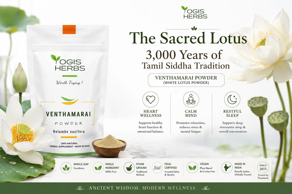 YOGIS HERBS Venthamarai Powder, White Lotus (Nelumbo Nucifera/Sacred Lotus/Padma) - Traditional Tamil Siddha Herb for Heart Wellness, Supports Calm Mind & Restful Sleep - Pure Petal Powder