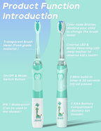 SEAGO Kids Electric Toothbrush with 2 Mins Brushing Timer and 4 Replacement Brush Heads, Rainbow LED Light Makes Brushing Fun, Boys Battery Powered Toothbrush for 4-12 Years Old，SG-977(Green)