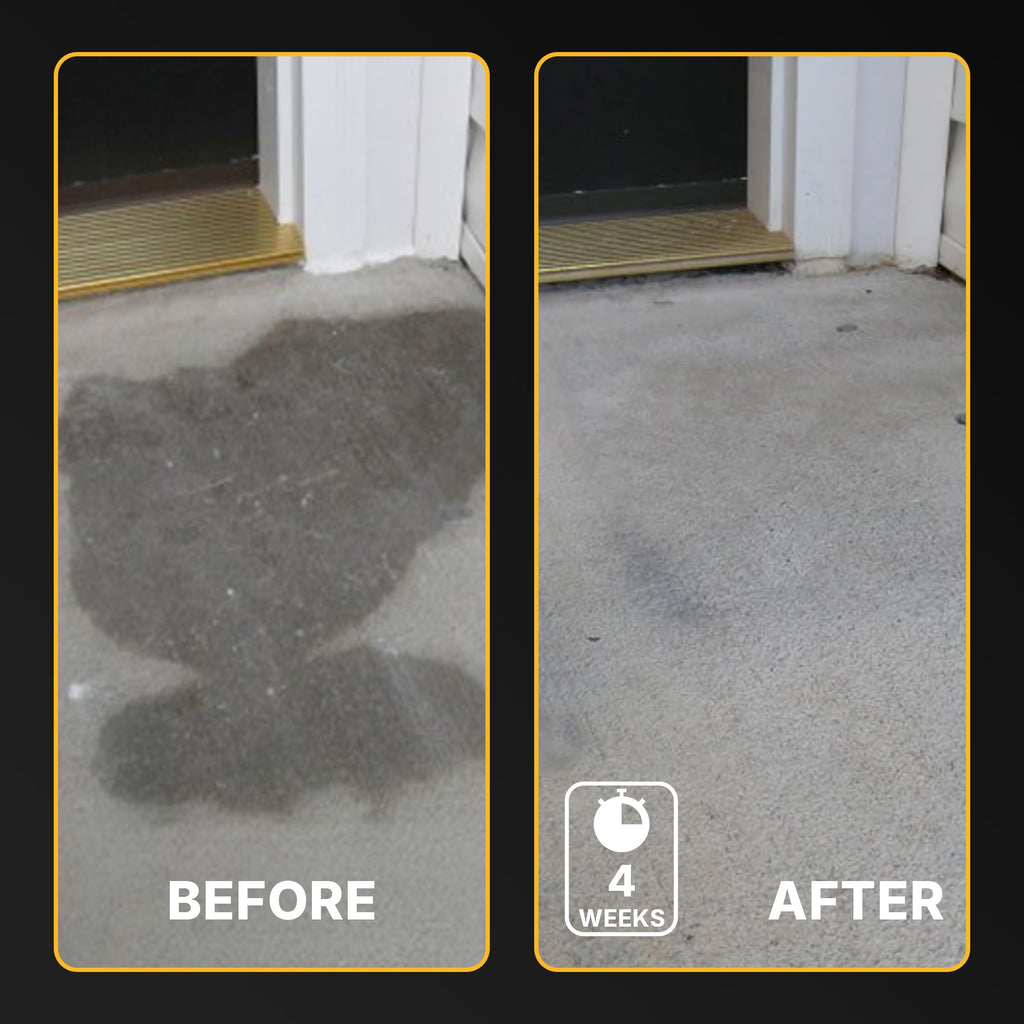 CAF Outdoor Cleaning EXIMO Waterless Concrete Cleaner, Oil Stain Remover for Asphalt, Driveway, Garage Floor, Basement and Walkway Surfaces, Natural Concrete Cleaner Powder Treatment, 3 lb Container