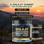 Organic Shilajit Gummies, Sea Moss, Ashwagandha, 105+ Trace Minerals – Organic Burdock Root & Lions Mane Mushroom - Blue Razz – Vegan & Non-GMO – Made in USA – 60ct