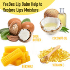 YesBes 64 Pack Lip Balm, Natural Lip Balm Bulk with Vitamin E and Coconut Oil, Moisturizing Lip Balms for Dry Cracked Lips, Lip Balms for Valentines Gifts Stocking Stuffers - 8 Flavors