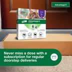 Advantage II Large Cat Topical Flea Treatment & Prevention, 6ct