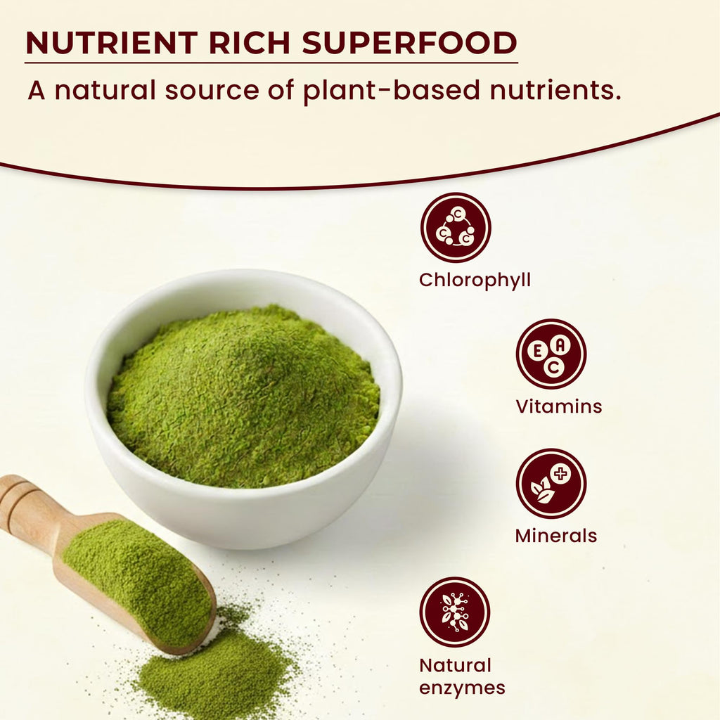 Darsa Organics Wheatgrass Powder 1 lb - Premium USDA Organic Wheat Grass, Fine-Milled Green Powder for Smooth Mixing - Non-GMO, Vegan, and Gluten-Free, Fresh-Sealed Resealable Pouch