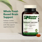 Standard Process Soybean Lecithin - Brain Health Support Supplement - Nutritional Whole Food-Based Supplement with Essential Fatty Acids from Soybean Lecithin - 240 Softgels
