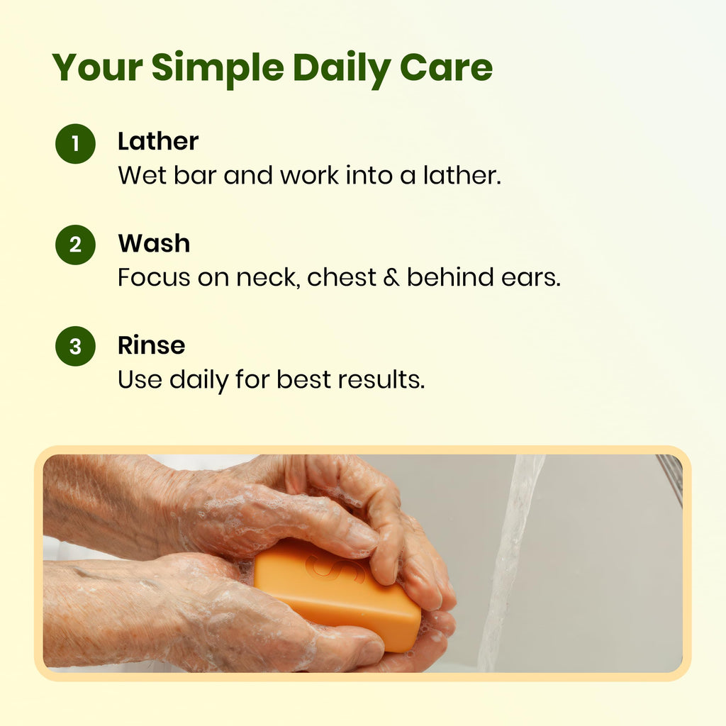 Swarva Japanese Persimmon Soap for Old People Smell & nonenal Odor, 2 Pack