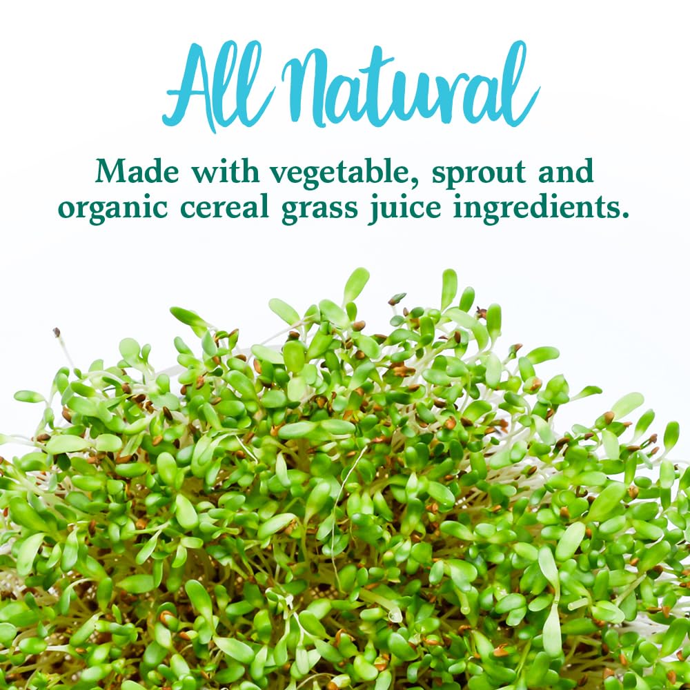 Garden of Life Perfect Food Super Green Formula - 14 Servings | 45 Superfoods, Greens, Fruit & Veggie Juice Superfood Powder Supplement, Probiotics & Organic Spirulina for Digestion & Immune Health