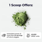 Paradise Herbs ORAC Energy Greens, Apple Superfood Powder, Over 40,000 ORAC Antioxidants, Organic Greens, Berries, Mushrooms & Probiotics, Non-GMO, Gluten-Free, 25 Servings