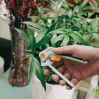 PrunePro Garden Scissors Pruning Shears Sharp Stainless Steel Non-Stick Teflon Coating Blade for Precise Cuts Garden Snip Bonsai Clippers for Plants Rose Flower