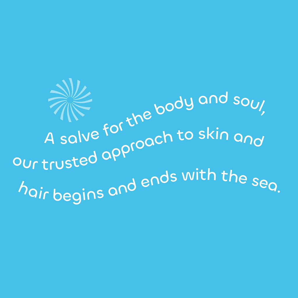 Seaweed Bath Co. Exfoliate Detox Body Soap, 3.75 Ounce (Pack of 3), Sustainably Harvested Seaweed, Charcoal