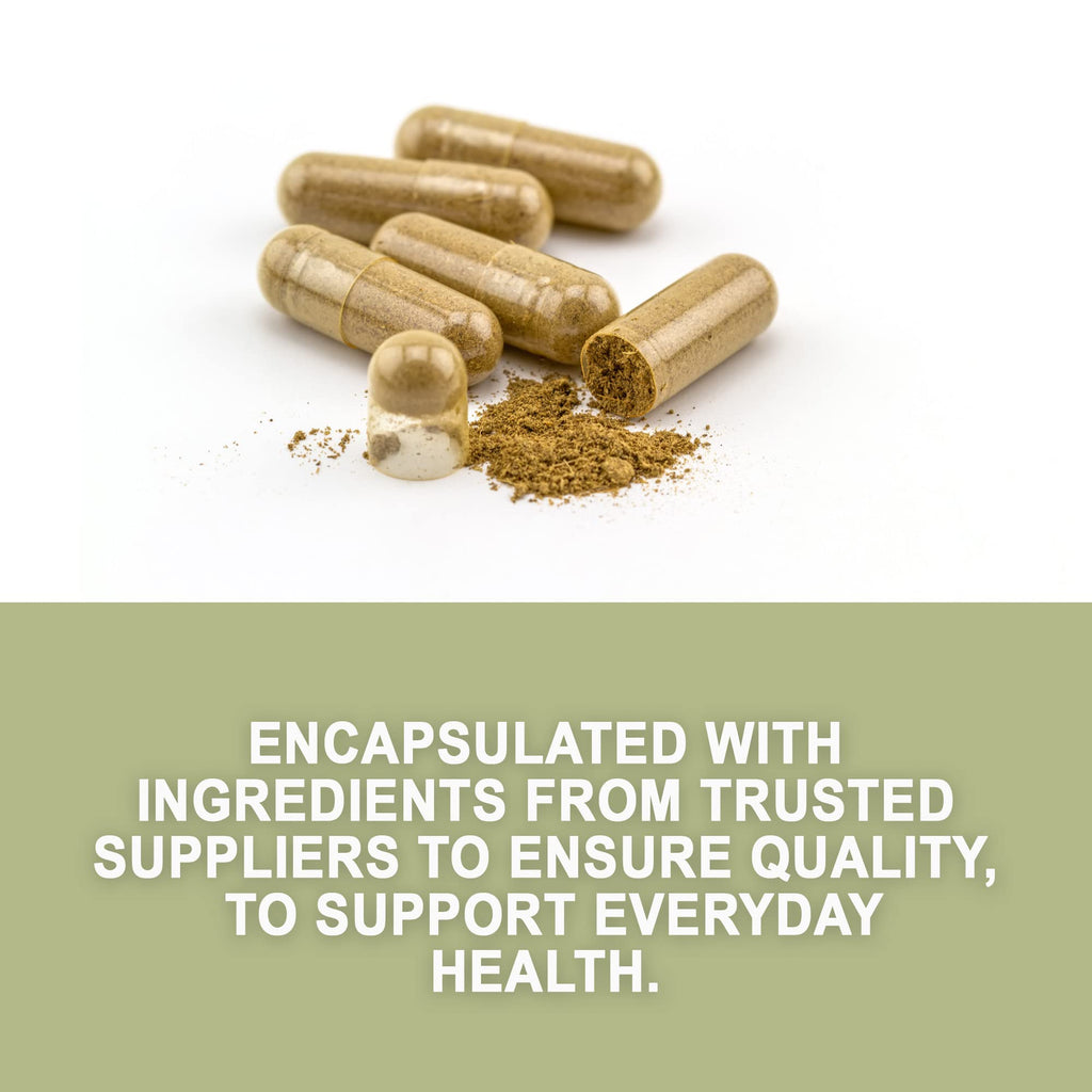 Evergreen Herbs Palo Mulato Capsules - 1350 mg per Serving (450 mg Each Capsules) Wildcrafted Mexican Herbal Capsules - Tamper Proof Seal to Ensure Freshness