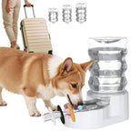 RIZZARI Automatic Gravity Pet Dispenser: Helps Prevent Urinary Stones - Activated Carbon Ion Exchange System - 6.5L Large Capacity Stainless Steel-Ideal for Cats & Small Dogs-All-Day Hydration at Home
