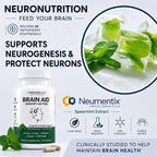 Bricker Labs Brain Aid Memory Matters – Nootropic Brain Supplement with Neumentix Spearmint Extract, Supports Memory, Focus, Mental Clarity & Cognitive Performance, Non-Stimulant Brain Health Support
