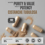 Earth Elixir Cistanche Supplement for Men & Women – Potent Cistanche Tubulosa Extract Capsules for Daily Vitality, Strength & Performance Support – Made in USA, 3rd Party Tested & 3 Month Supply