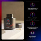 MitoQ Pure Advanced Mitochondria Supplement Superior Bioavailability to CoQ10 | Reduces Free Radical Damage for Healthy Aging, Metabolism, Heart Health, Energy, Strength & Mobility