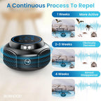 Ultrasonic Pest Repellent Plug-in, Electronic Mouse Traps & Insect Repellent, Pest Control for Rodent, Roach, Ant, Squirrel, Spider, Bugs, Mouse, Rat, Bat for Home, Office, Warehouse Black 2 Pack