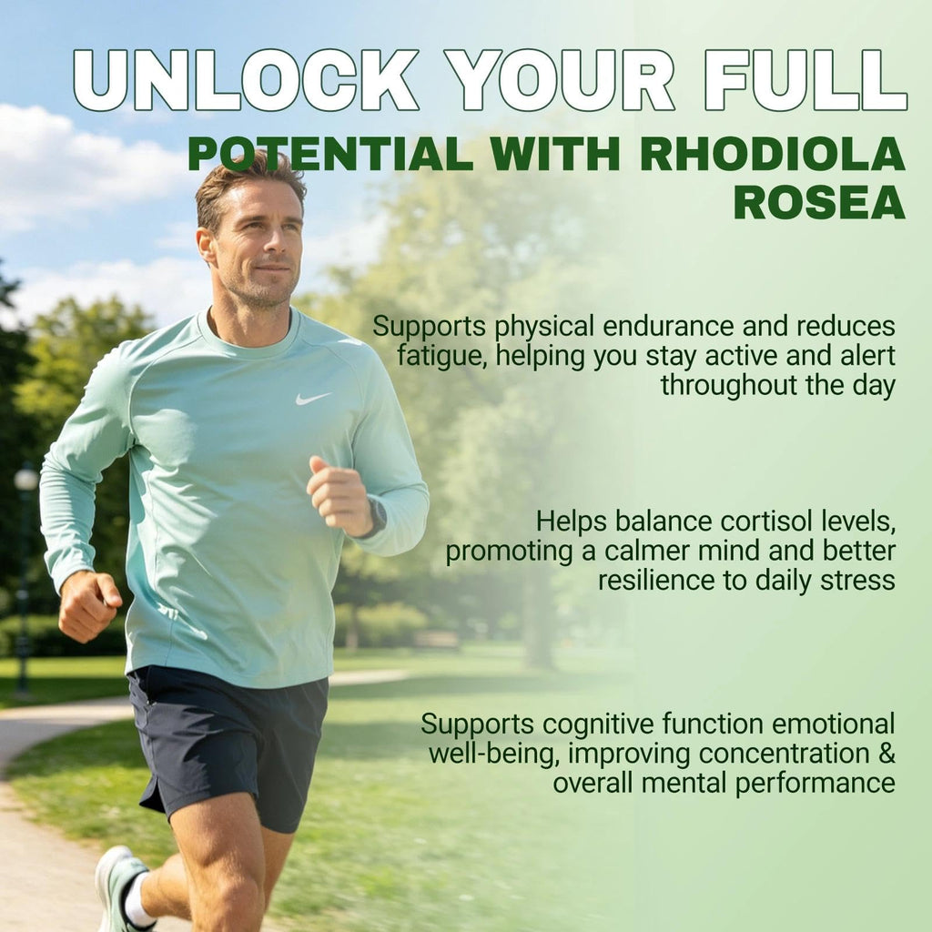 Restine Rhodiola Rosea Capsules 500mg - Non-GMO, Gluten-Free Formula - 60 Capsules