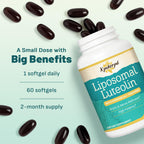 Kynderynl Liposomal Luteolin 200mg – Luteolin Supplement & Brain Supplement for Memory and Focus with Apigenin & L-Theanine – Non-GMO, Gluten-Free, 60 Softgels