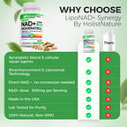 NAD+ Supplement, 1,360mg Max Strength Liposomal | Resveratrol, Quercetin, Green Tea | Cellular Energy & Healthy Aging for Men & Women | 800mg of 100% High Purity NAD+ for Energy, Focus - 90 Capsules