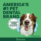 TropiClean Fresh Breath Dental Water Additive, Dog Breath Freshener, 33.8oz