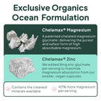 Organics Ocean Pure Magnesium Glycinate with Zinc - Maximum Strength Chelated Magnesium Supplement for Women and Men for Muscle Cramps and Sleep Support - 2 Bottles