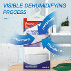 Vacplus Moisture Absorbers, Hanging Closet Dehumidifier Bags, Humidity Packs, Desiccant, Closet Dehumidifiers with Lavender Fragrance, 10 Pack, 9.8 OZ