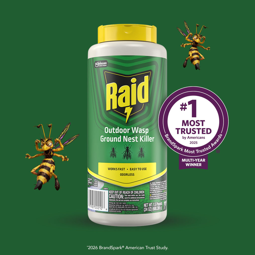 Raid Outdoor Wasp Ground Nest Killer, Dust Insecticide for Outside Household Use, Wasp Killer, Fast-Working and Odorless, 24 Oz