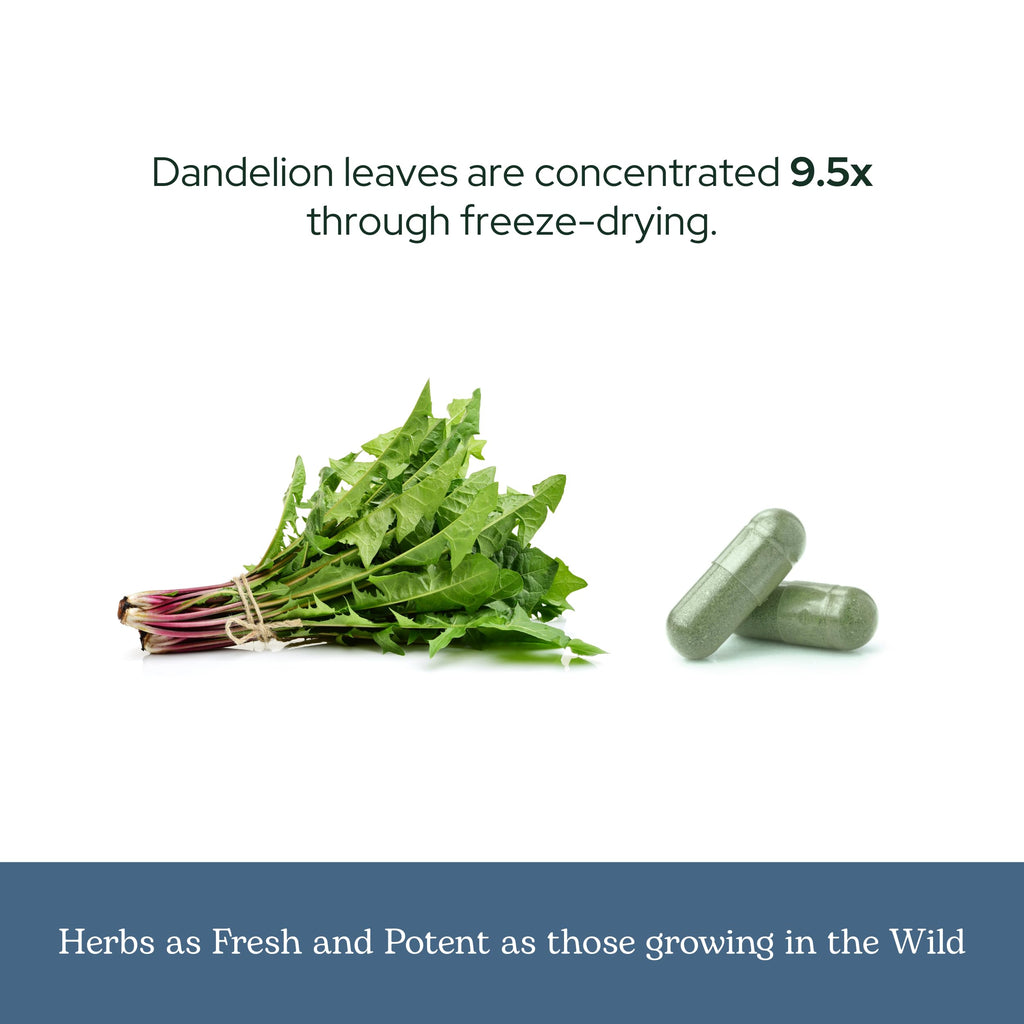 Eclectic Herb - Organic Freeze-Dried Dandelion Leaf Capsules | Supports Cleansing, Digestive Function & Heart Health | Natural Herbal Supplement | US-Grown, Vegan, Non-GMO (90 CT | 200 mg)
