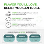 Quitine Nicotine Gum 2mg, Fruit Flavor, Stop Smoking Aid – Affordable NRT to Relieve Cravings | Coated for Quick-Burst Flavor, 480 Count (Pack of 2), Traditional Gum to Support Your Quit Journey