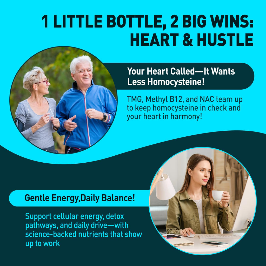 HOLLEGEND Liposomal TMG Supplements Liquid Drops, 1000mg Trimethylglycine as Betaine Anhydrous for Methylation, Antioxidant & Brain & Liver Health, High Absorption, Non-GMO, Vegan, Blueberry, 2 FL Oz