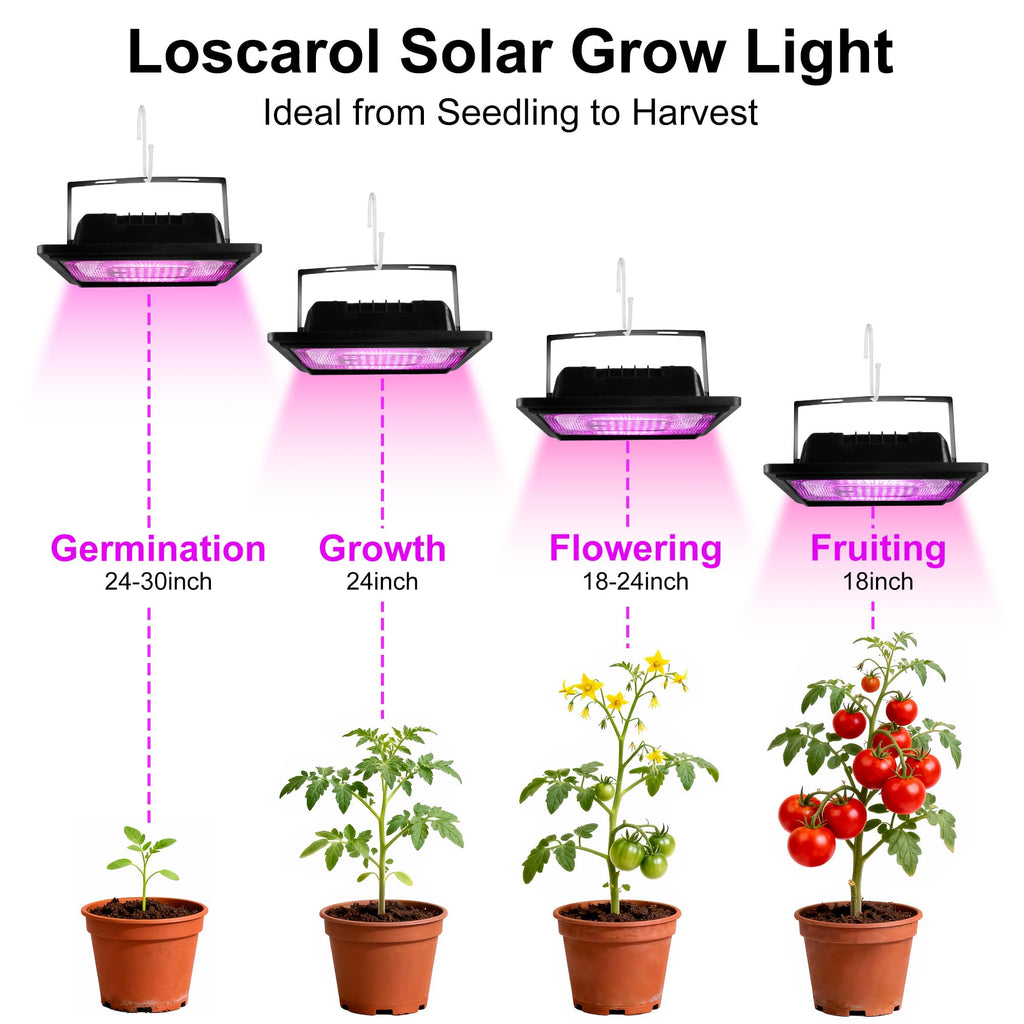 Loscarol Solar Grow Light, Full Spectrum Plant Light with Timer & Remote