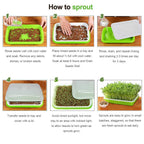 SUNPRO 2-Pack Seed Sprouter Tray with Humidity Lid, BPA Free Food Grade Soil-Free Sprouting Kit, Large Capacity Wheatgrass Grower & Microgreens Germination Station for Beans, Peas, Cat Grass (Green)
