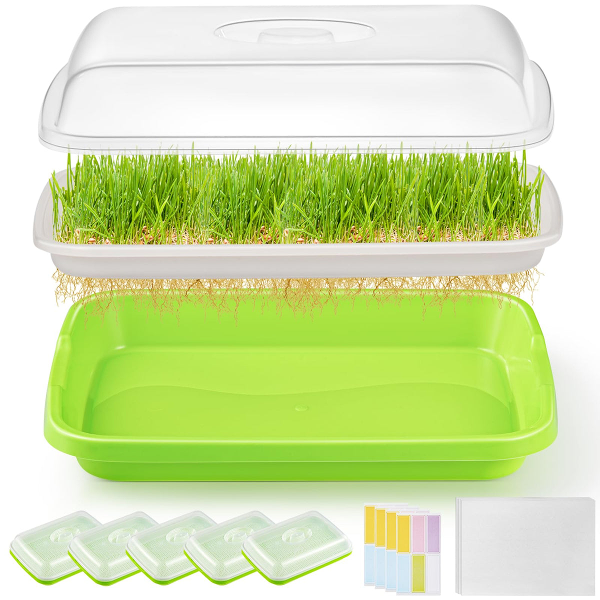 FELISTORY 6 Pack Green Seed Sprouter Trays with Lid, Soil-Free Cultivation Germination Tray, Nursery Tray with Planting Paper for Indoors or Outdoors