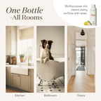 Thieves Household Cleaner by Young Living, 14.4 Fluid Ounces