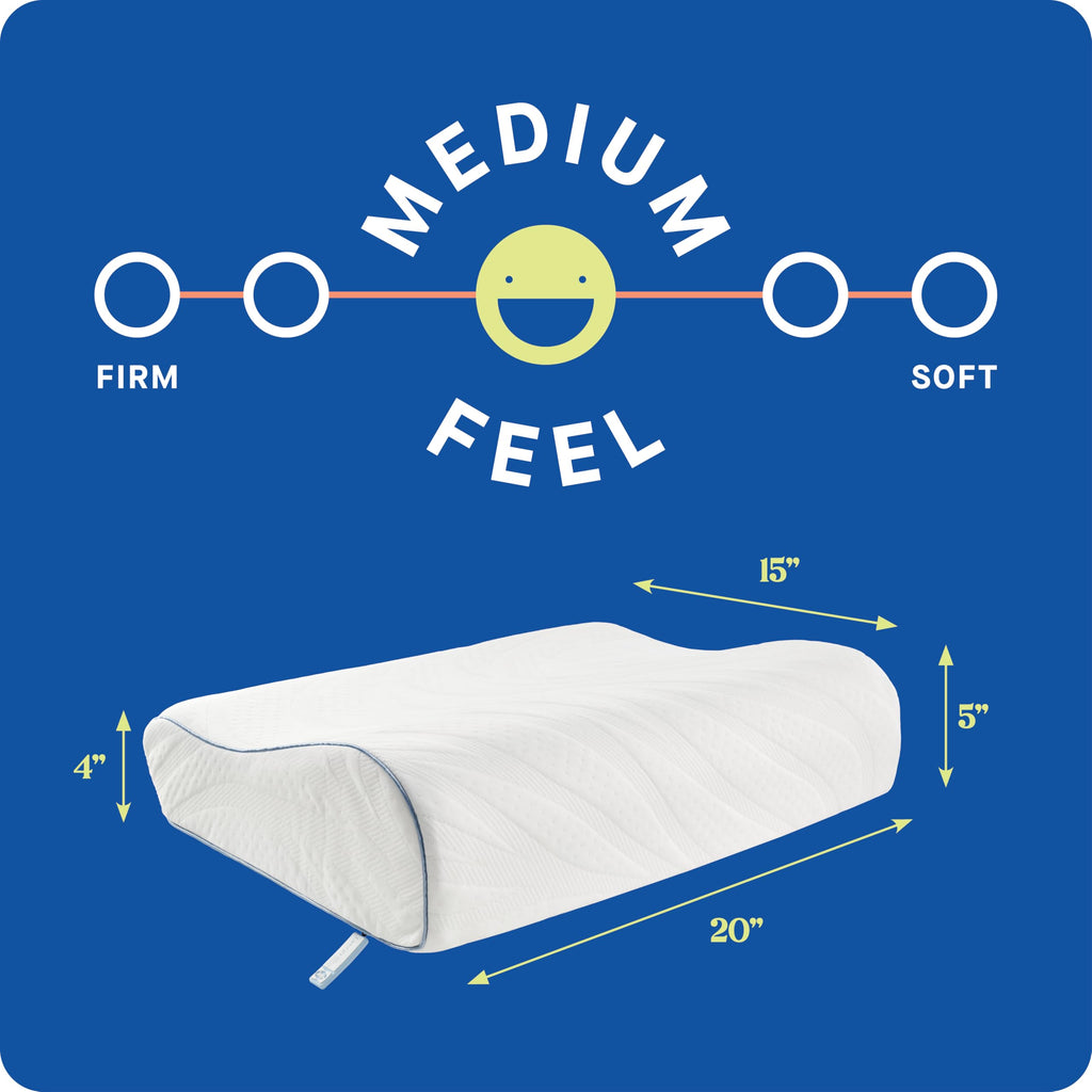SEALY Dreamlife Standard Size Contour Memory Foam Pillow with Surface Guard Technology, Removable Machine-Washable Cover, 1 Year Limited Warranty