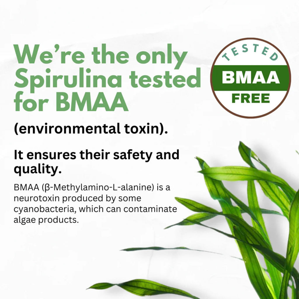 Chlorella Spirulina Powder Capsules 3000 mg of BMAA Free Purest Blue Green Algae - Best Natural Detox Raw Vegan Vitamins Protein Green Superfood - Made in USA