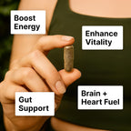 Grass Fed Beef Organs – (200 Count) Liver, Heart, Kidney, Pancreas, Spleen Supplement. Organ Meat Complex sourced from New Zealand