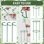 Moiggonoy 36 Pack Plant Support Stakes Sets - Versatile Plant Cages, Stackable Garden Flower Support， Small Plant Stakes for Indoor Plants,Tomato,Monstera, Peony, Hydrangea, Climbing Plants