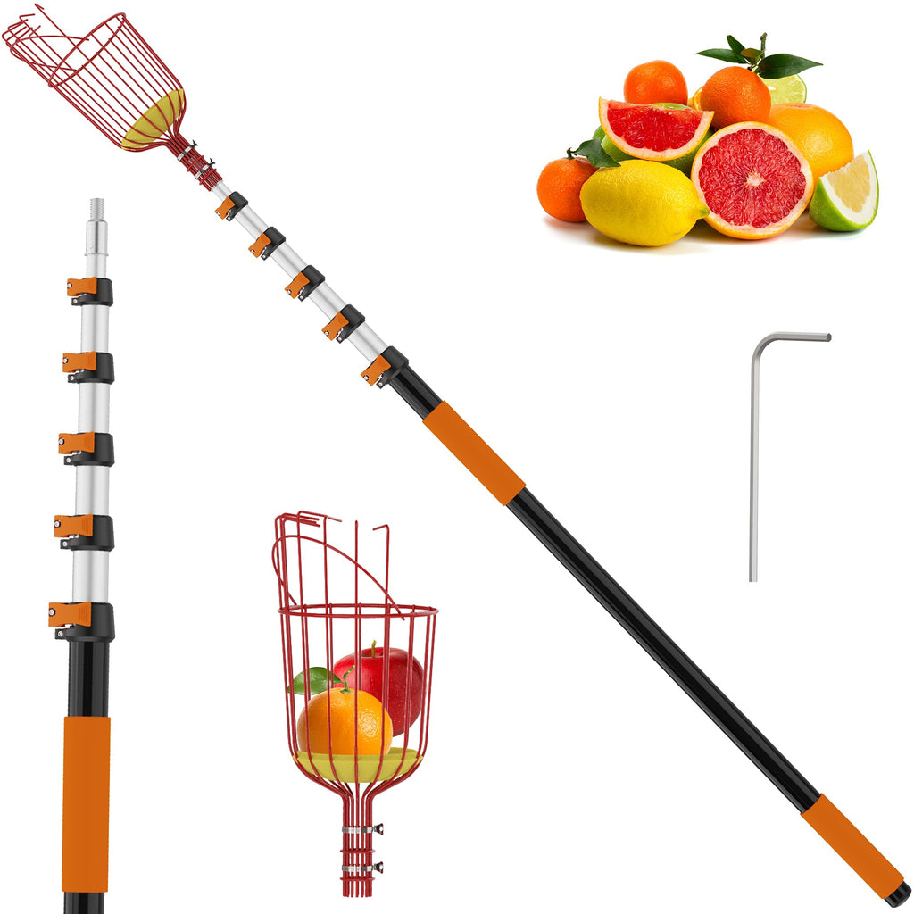 TONYINGO 30FT Reach Fruit Picker with Basket, Telescoping Aluminum Pole 5-24FT, Dual Flip-Lock & Screw Fixing Design for Apple Orange Mango Avocado Lemon Picking
