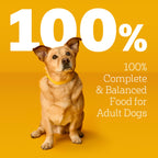Pedigree Choice Cuts Wet Dog Food Pouch, Protein Variety, 3.5 oz, 18 Count