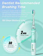 SEAGO Kids Electric Toothbrush with 2 Mins Brushing Timer and 4 Replacement Brush Heads, Rainbow LED Light Makes Brushing Fun, Boys Battery Powered Toothbrush for 4-12 Years Old，SG-977(Green)