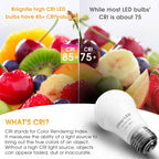 Briignite LED Light Bulbs, 3 Way LED Light Bulbs 50 100 150W Equivalent, 3 Way Light Bulb, Three Way A19 Light Bulbs E26 Medium Base, Warm White 3000K, 500lm-1000lm-1500lm, 2 Pack