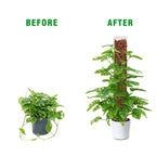 Bonviee 4-Pack 15-Inch Plastic Moss Poles for Monstera & Climbing Plants - Stackable to 60 Inches, Includes Sphagnum Moss & Garden Ties for Indoor Plant Support